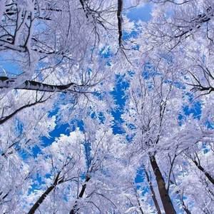 Meet your Posher, Karyn